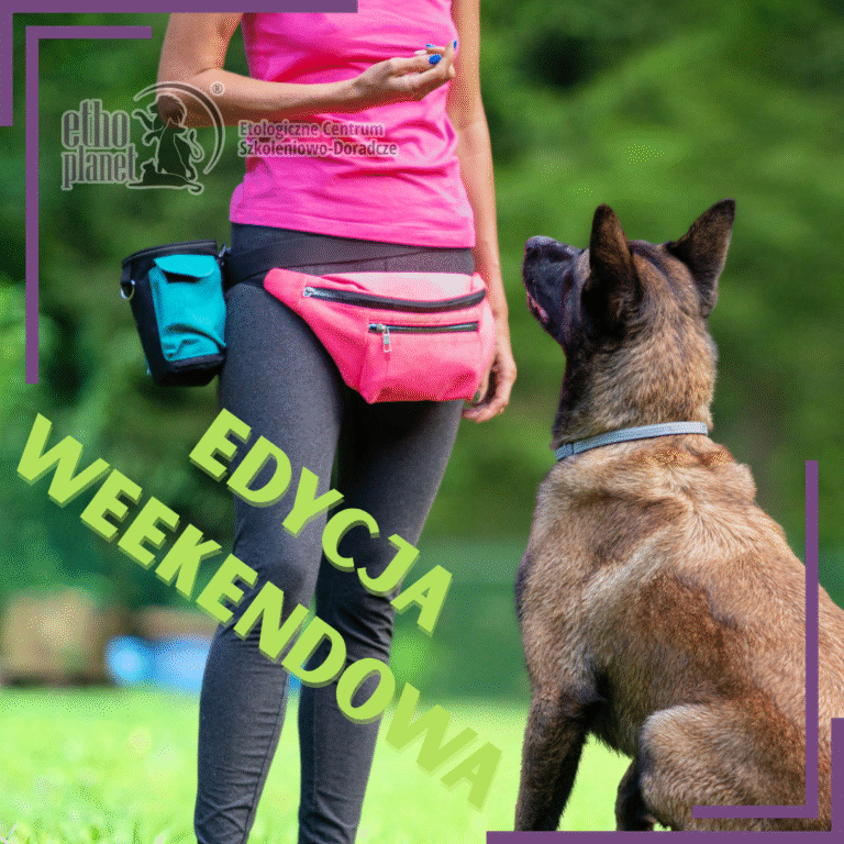 Instruktor Szkolenia Psów Specjalizacja I stopnia [Edycja 7 – weekendowa]