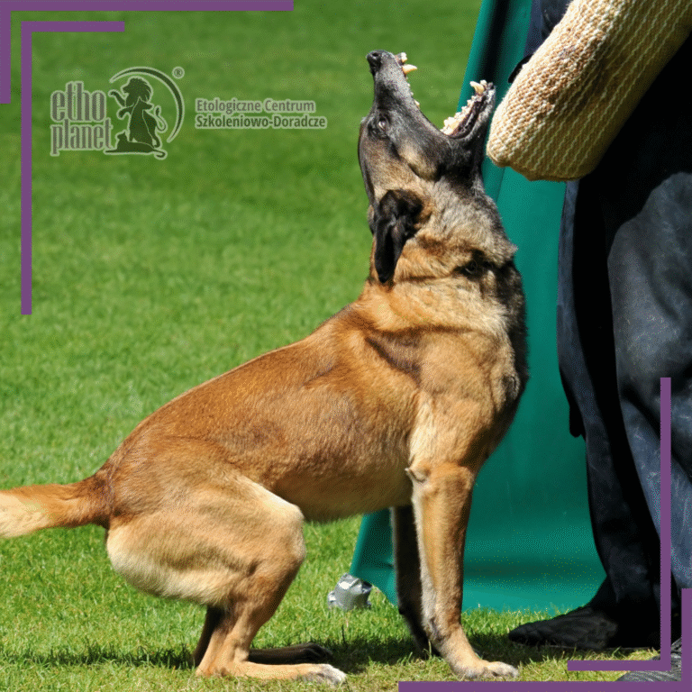 Tactical Defense Training – Closed Group